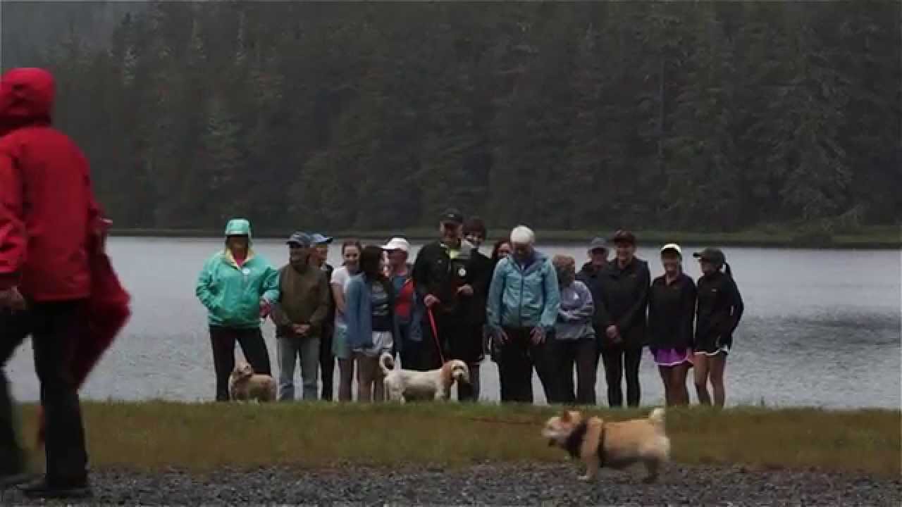 Dan Ortiz - Independent Alaskan