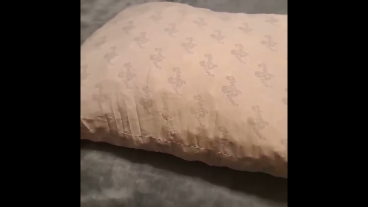 MyPillow Premium Bed Pillow Set of 2 Queen Medium and Firm Review, Comfortable And Durable!