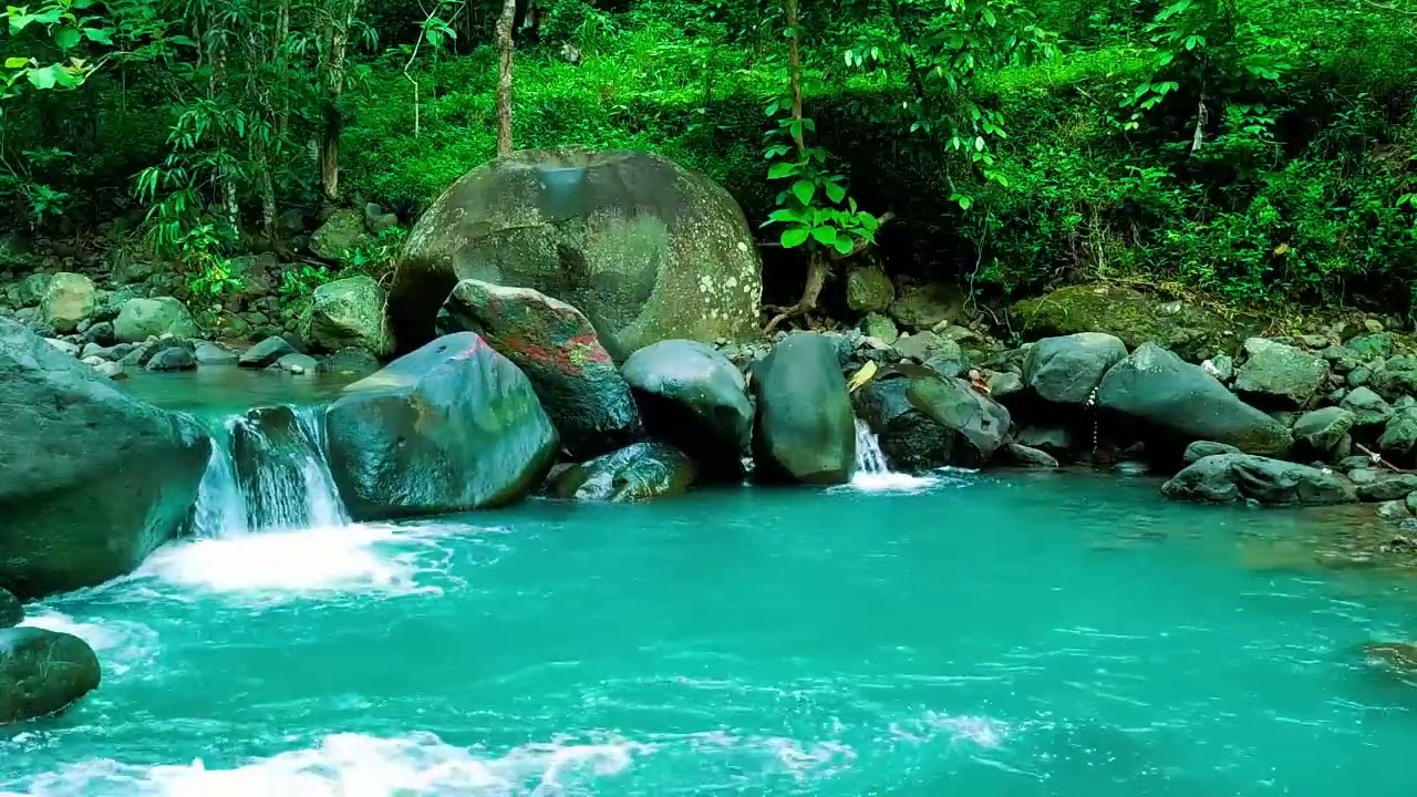 Calming Forest Ambience - River Flowing in Hidden Forest Ambience for Rest, Medicine