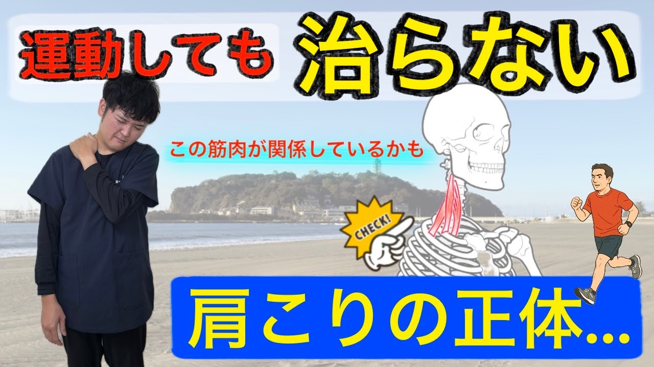 運動して肩こり予防はしているのに、肩の中の方の症状が取れない。それは斜角筋症候群かもしれません｜神奈川県鎌倉市七里ヶ浜 さんぽ整骨*鍼灸*マッサージ院