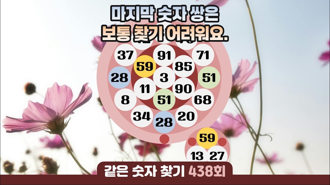 같은숫자찾기 438회 - 마지막 숫자 쌍은 보통 찾기 어려워요. #같은숫자찾기 #퀴즈 #치매예방퀴즈  #두뇌운동  #number search #quiz #脳トレ #数字探し