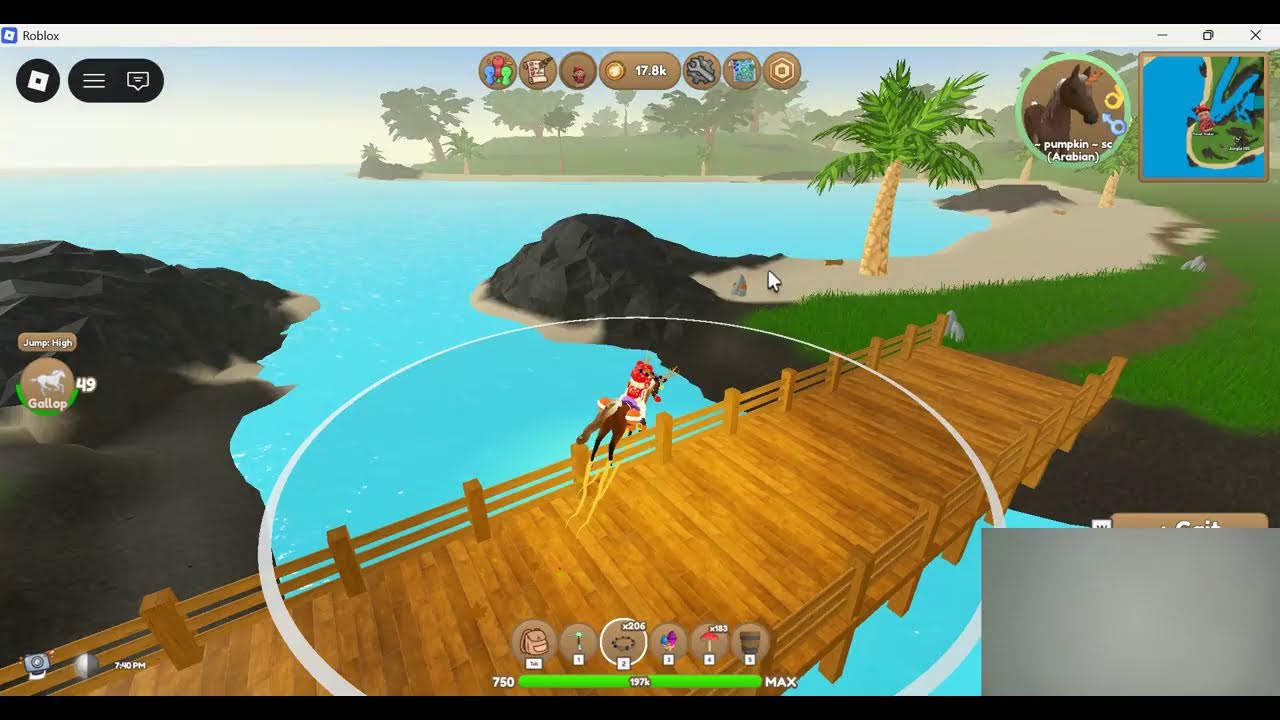 || HUNTING || WILD HORSE ISLANDS