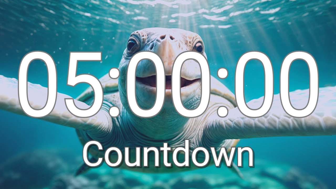 5 Hour Timer with Relaxing Music and Alarm