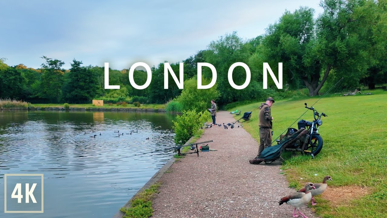 London Walk Through Hampstead Heath at Sunrise | Nature 4K
