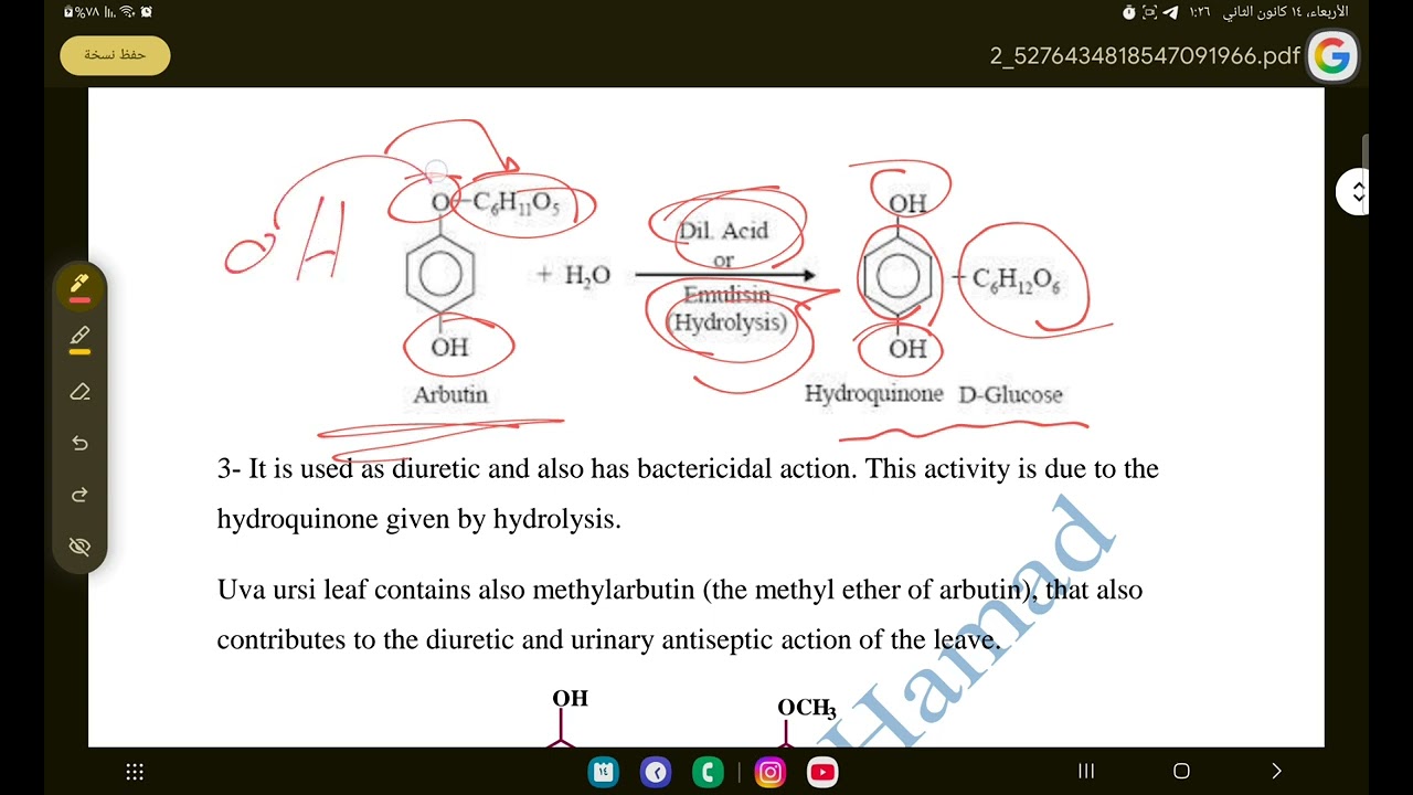 Alcoholic glycosides part one