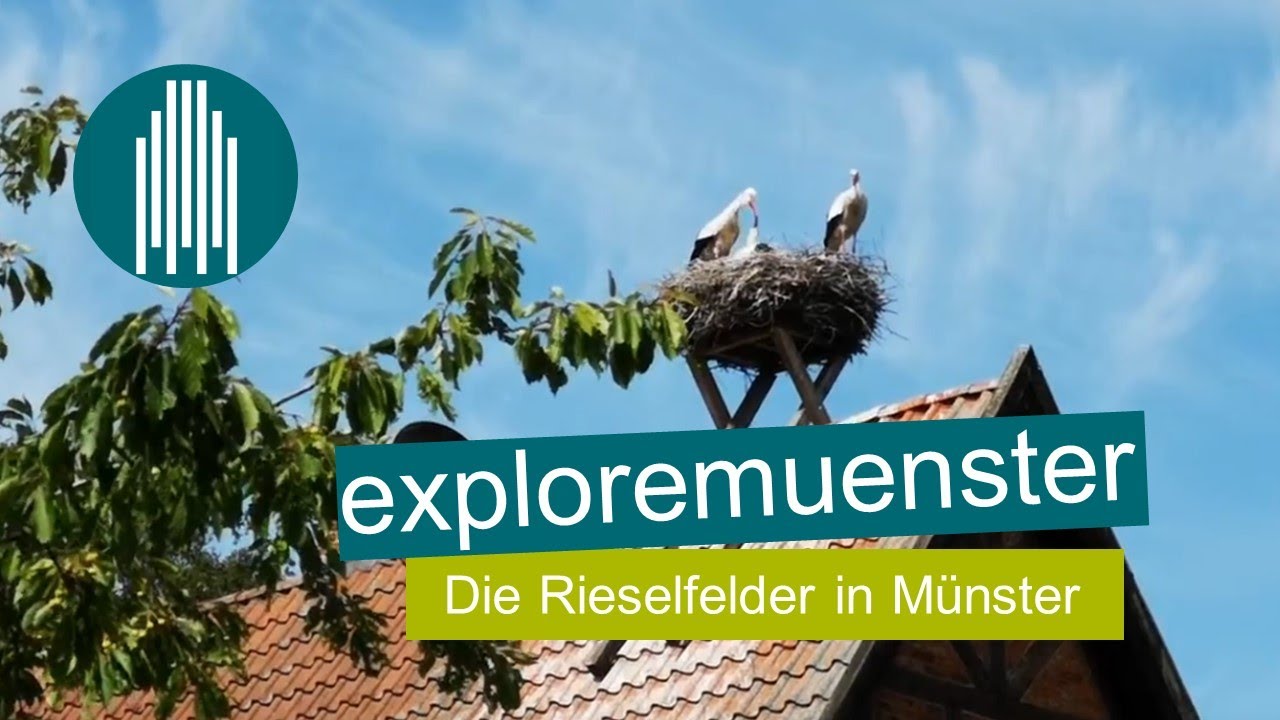 Die Rieselfelder in M&uuml;nster