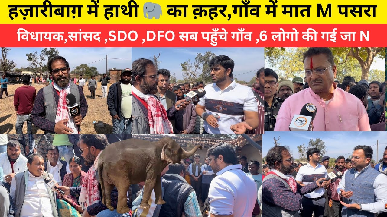 हज़ारीबाग़ में हाथी🐘का क़हर,गाँव में मातM पसरा विधायक,सांसद,SDO,DFO सब पहुँचे गाँव,6 लोगो की गई जाN 