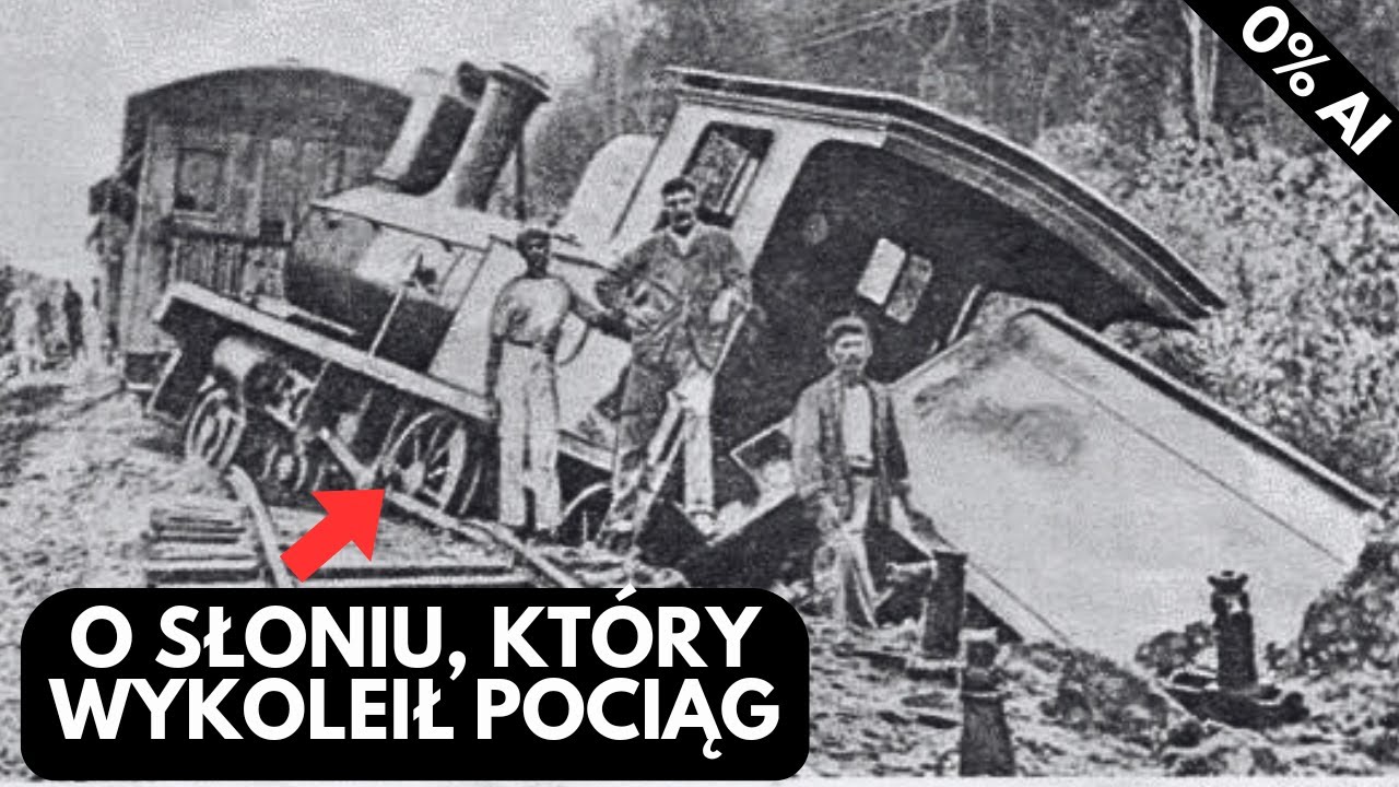 Natura kontra technika: od malezyjskiej dżungli po polskie lasy