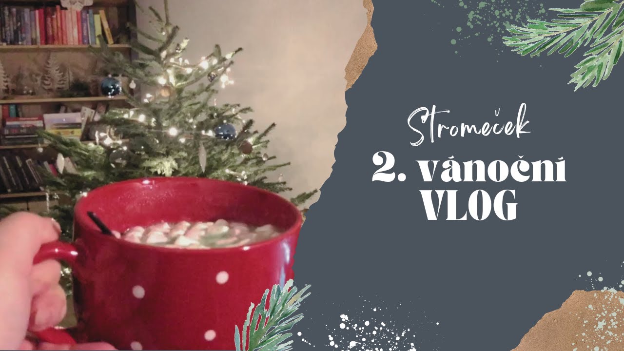 VÁNOCE JSOU TADY🌠| zdobíme stromeček 🎄, první dárečky 🎁, české stříbrné šperky ONYX FOX 💍 | VLOG #20