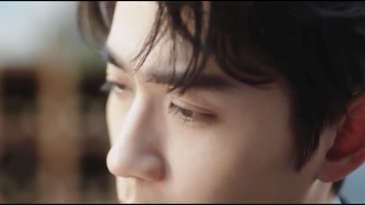 Epilogue [BL] GUARDIAN Season 3 *Where You Are*, Zhu Yilong, AU, Shen Wei, Zhao Yunlan, Weilan