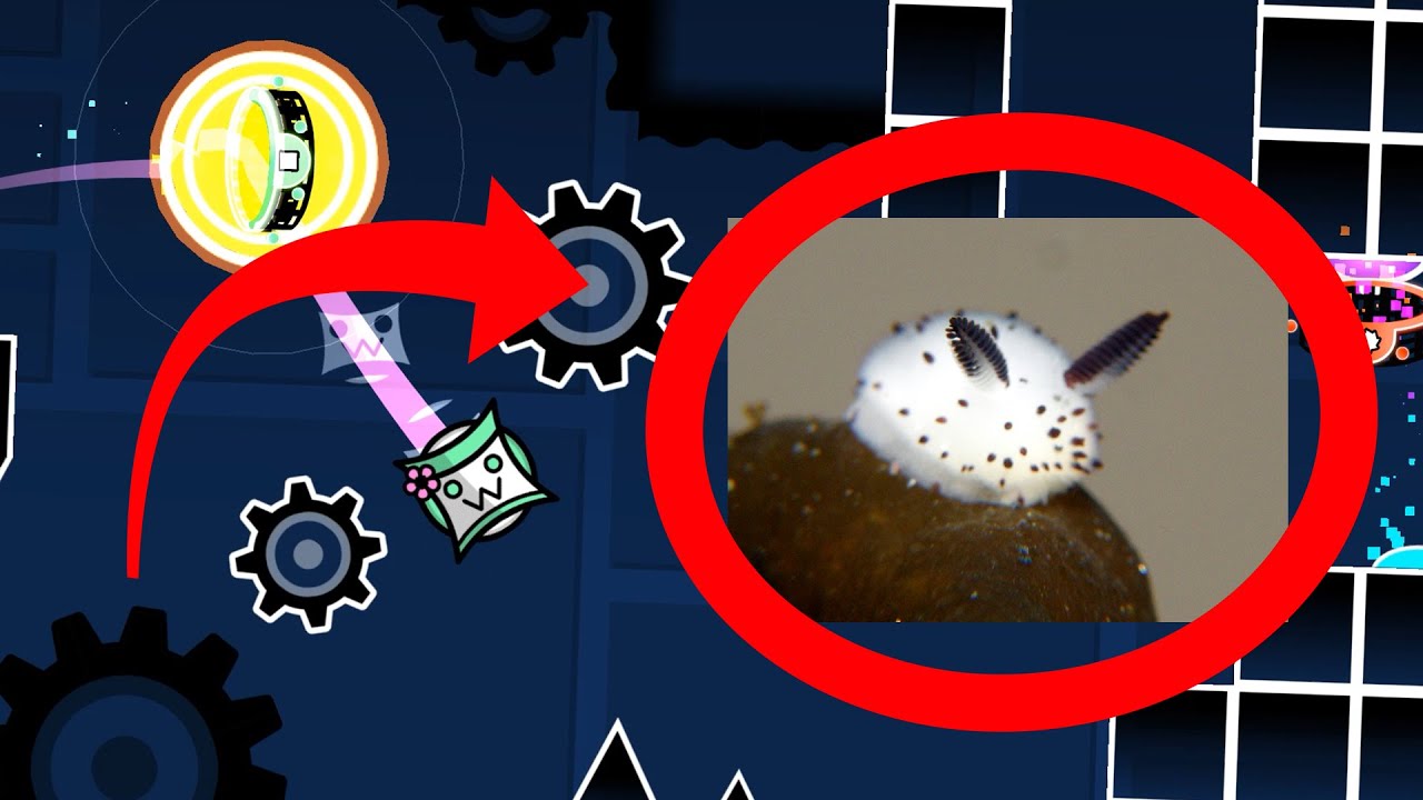 Полный макет &laquo;Sea Bunny City&raquo; (мегаколлаб Extreme Demon)