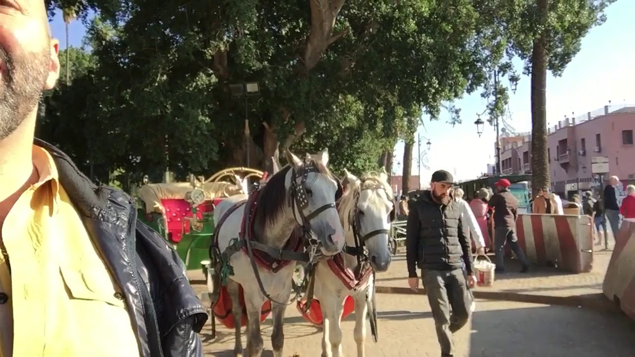 Roy Awwad In Beautiful 🇲🇦❤️Marrakech Old Town💚🇲🇦Morocco🇲🇦