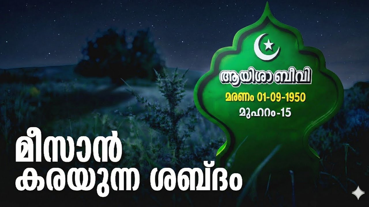 മീസാൻ കല്ല് സംസാരിച്ചു 