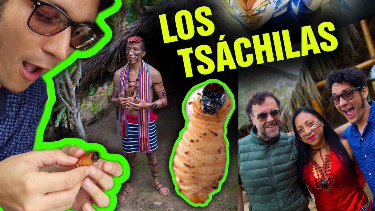 COMIENDO INSECTOS CON 