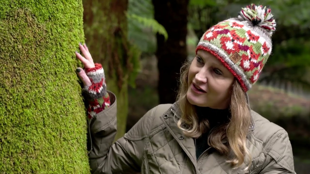Alan Titchmarsh's Gardening Club: Trebah Garden, Cornwall