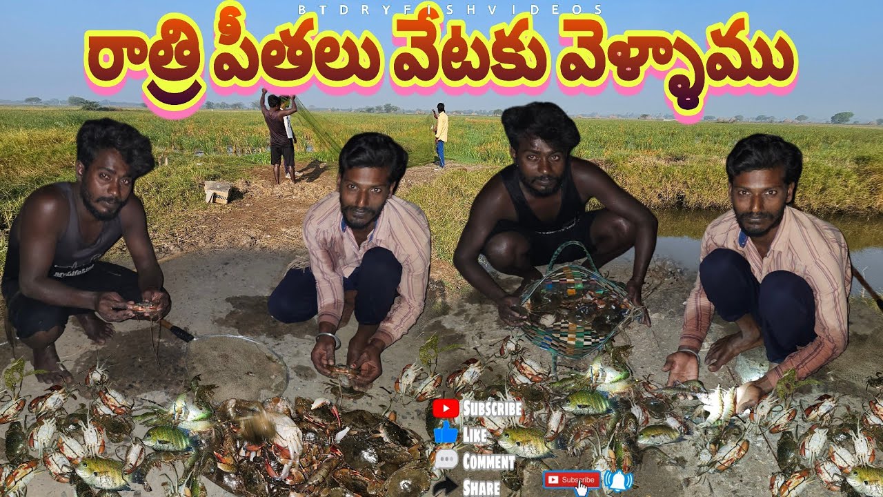 రాత్రి పీతలు వేటకు వెళ్ళాము#penumudi #fishing #crab #crabhunting #cooking #villagevideos #prawnshunt