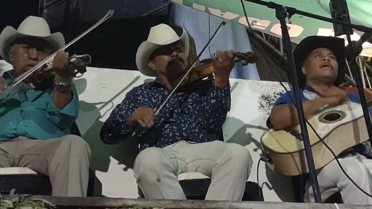 Los compadres de la sierra topada en milpillas victoria Guanajuato vs Santiago Capetillo 🎻