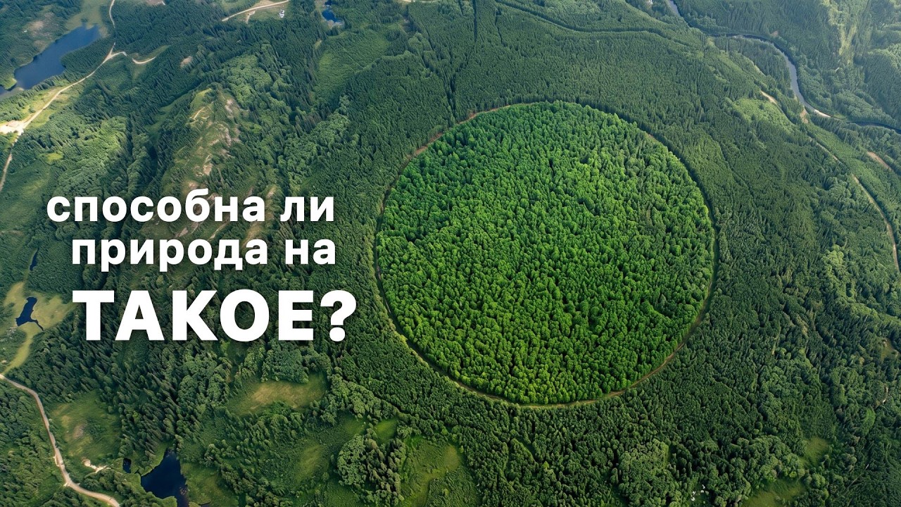 КРУГЛЫЙ ЛЕС