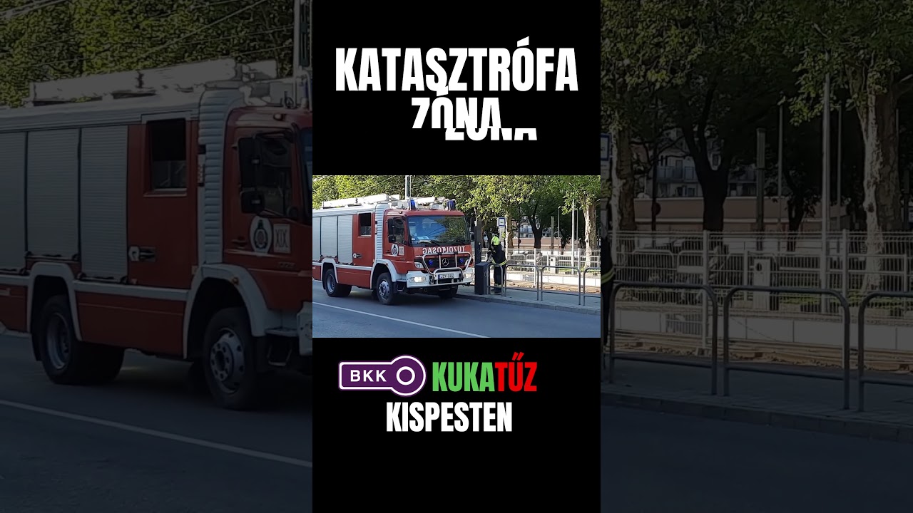 Vide&oacute;t k&eacute;sz&iacute;tette: Dallos Tam&aacute;s