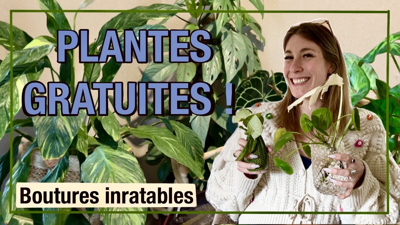 PASSION PLANTES I Mes techniques de bouturage inratable pour avoir pleins de plantes gratuites !