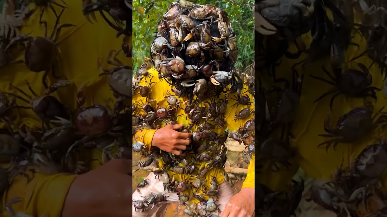 ToRung comedy: 🦀catching crabs in Ohio😂