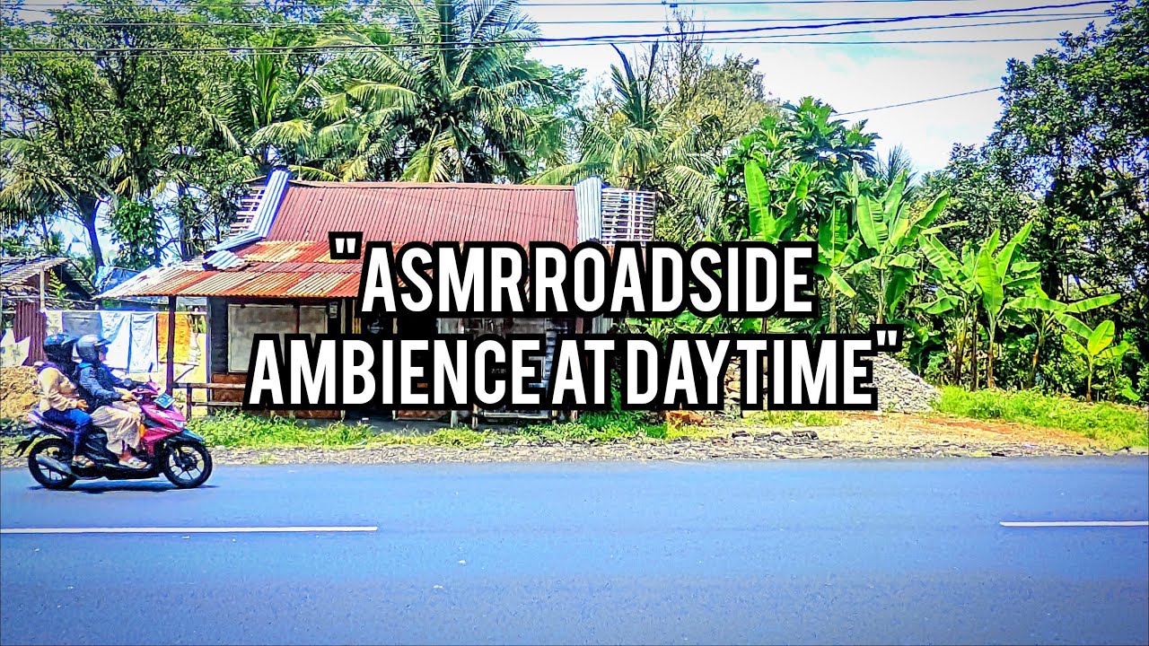 ASMR Roadside Ambience at Daytime | Relaxing Traffic Sounds for Sleep & Focus