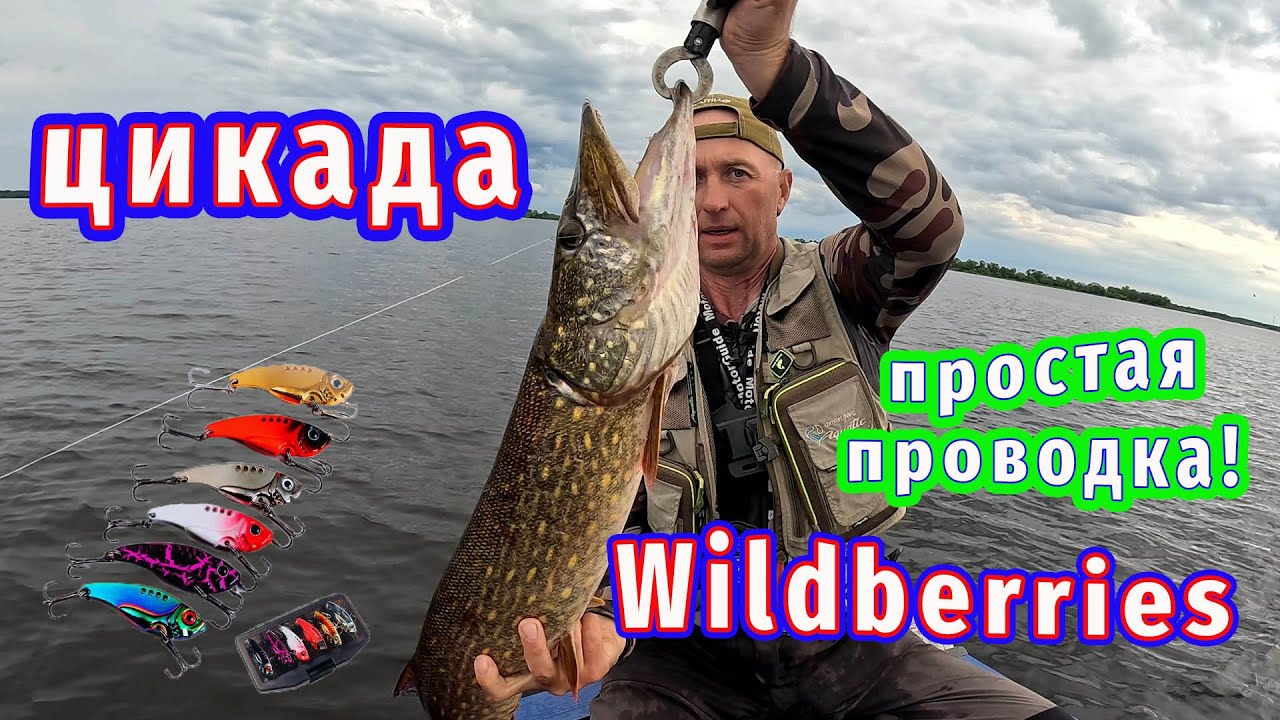 Неожиданный монстр на крючке! Цикады с Wildberries за копейки! ЛОВЯТ!