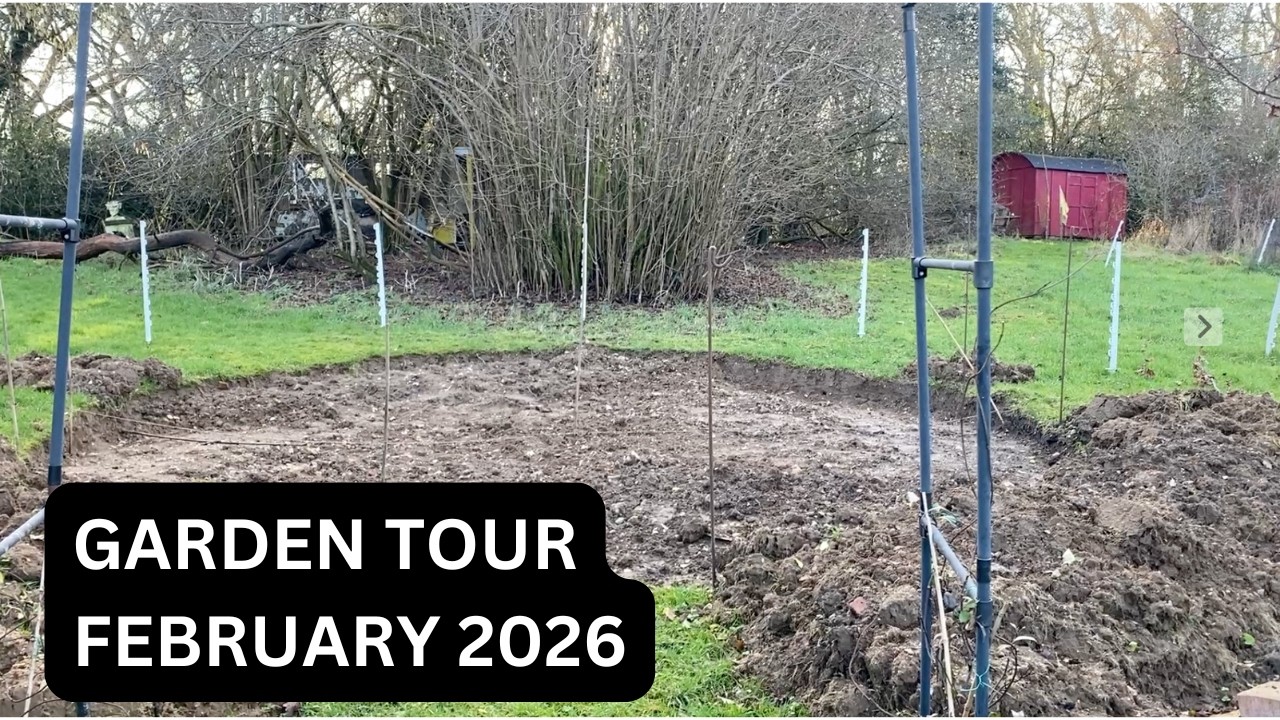 Garden Tour February 2026