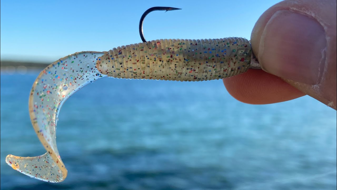 Testing the Daiwa Bait Junkie 2.5