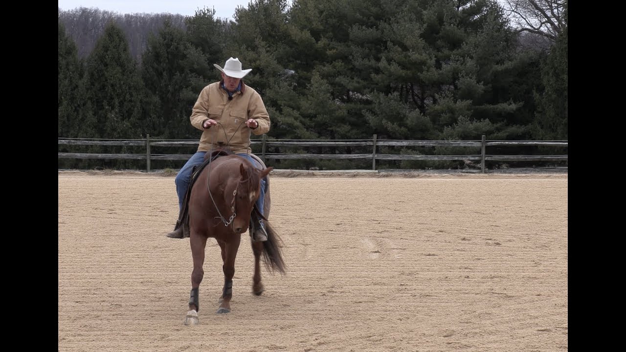 The Hand/Leg Balance (Episode 144) - Herm Gailey: A Lifetime with Horses