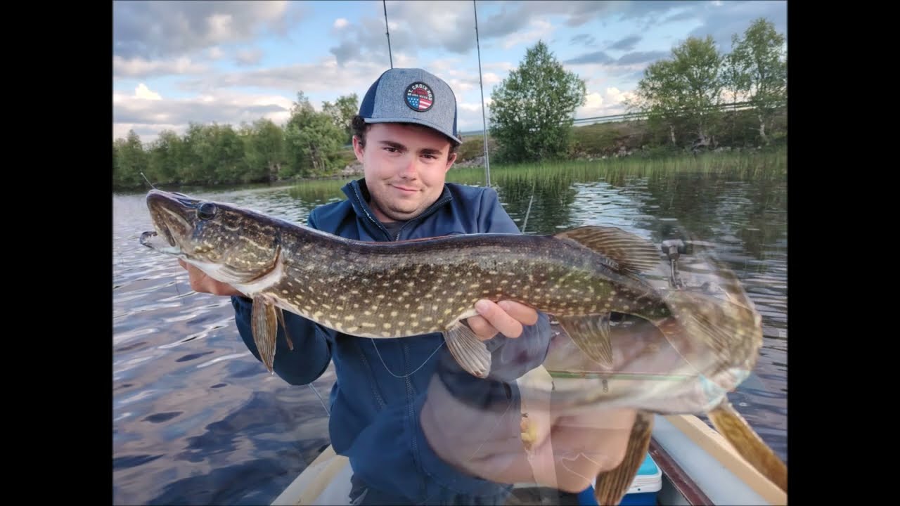 Entre Nature et Aventure : Pêche du Brochet en Laponie Suédoise !