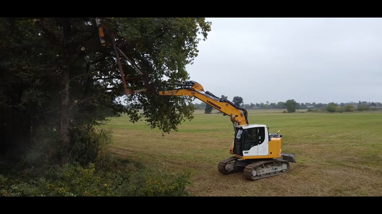 Élagage d'arbre_SARL de Beaucheron