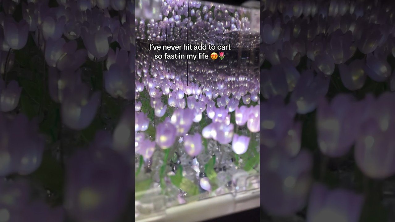 My best purchase of 2024 😍🌷 #tulip #viralvideo #viral #mirror #tulips #viral #fyp #flowers #lamp