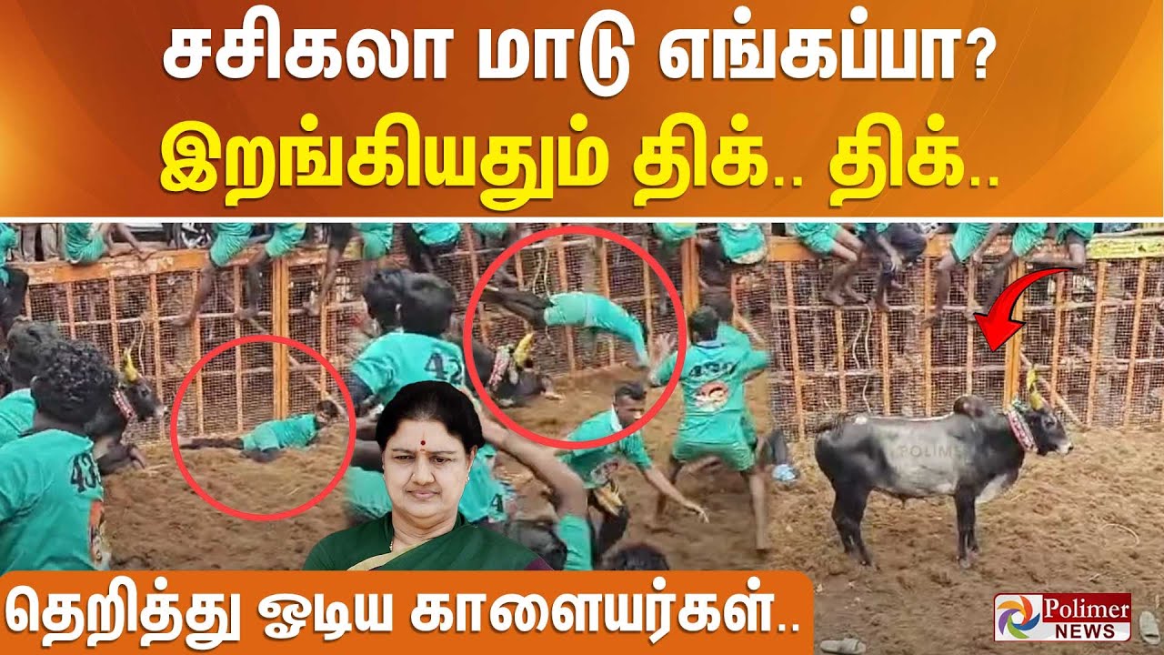 சசிகலா மாடு எங்கப்பா?இறங்கியதும் திக்..திக்.உயிரை கையில் பிடித்த காளையர்கள் Avaniyapuram Jallikattu