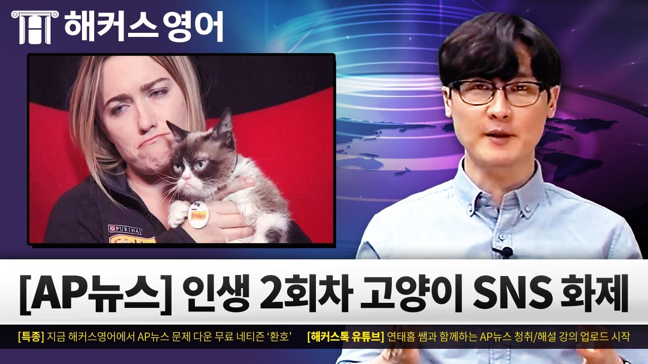 SNS 화제! 인생 2회차 고양이 Grumpy Cat 🐱😑 | AP뉴스로 배우는 영어회화 | 해커스 연태흠의 AP뉴스 청취해설강의 1강