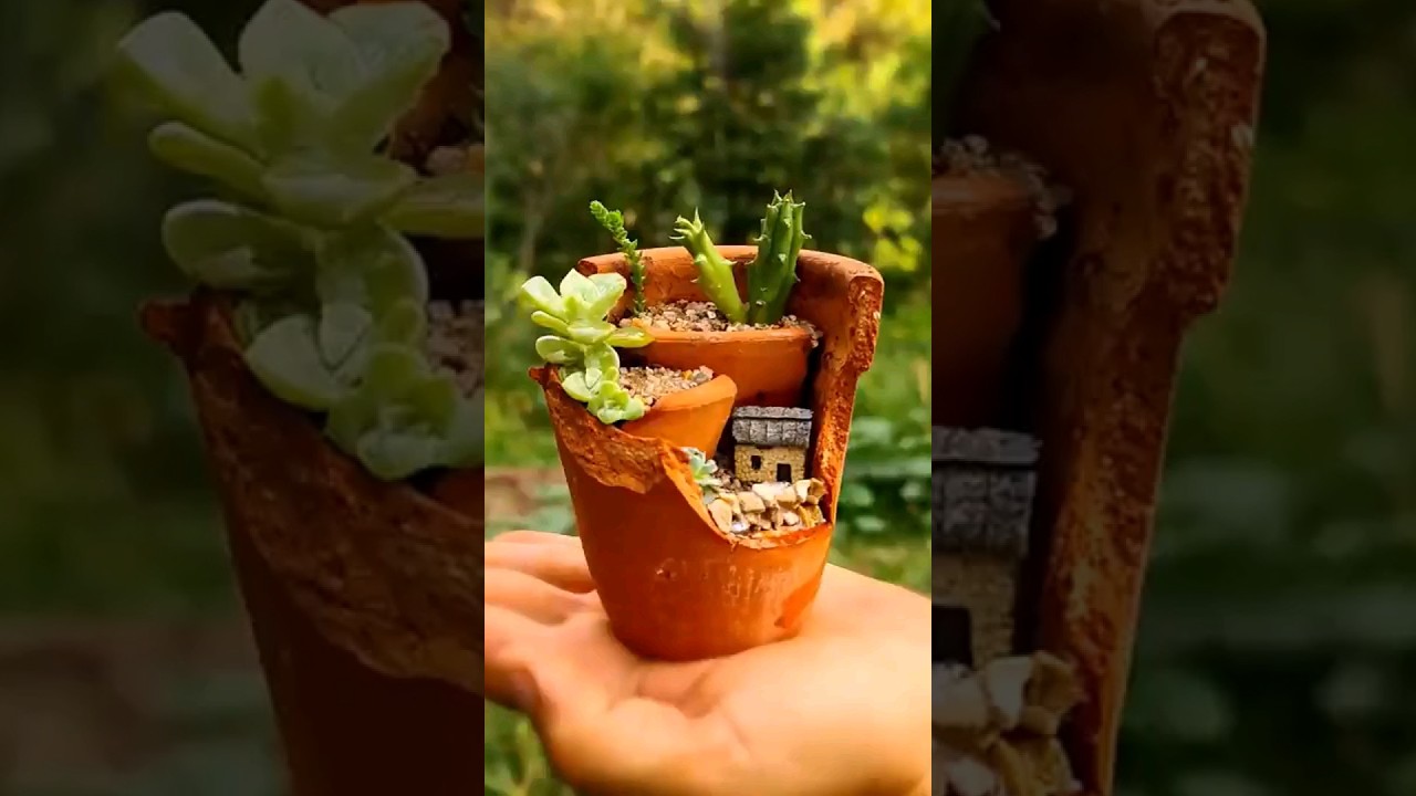 Czy wazon ceramiczny pękł? Zr&oacute;b mini ogr&oacute;d sukulent&oacute;w