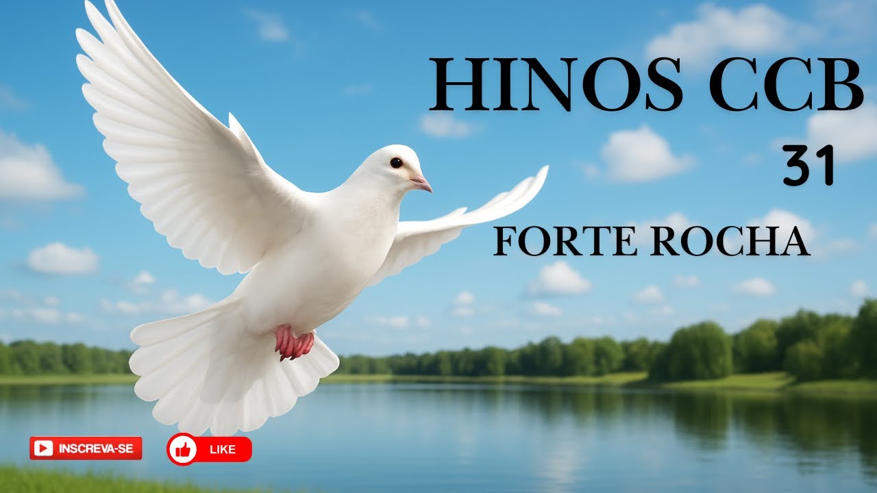 HINO CCB -  31 | FORTE ROCHA
