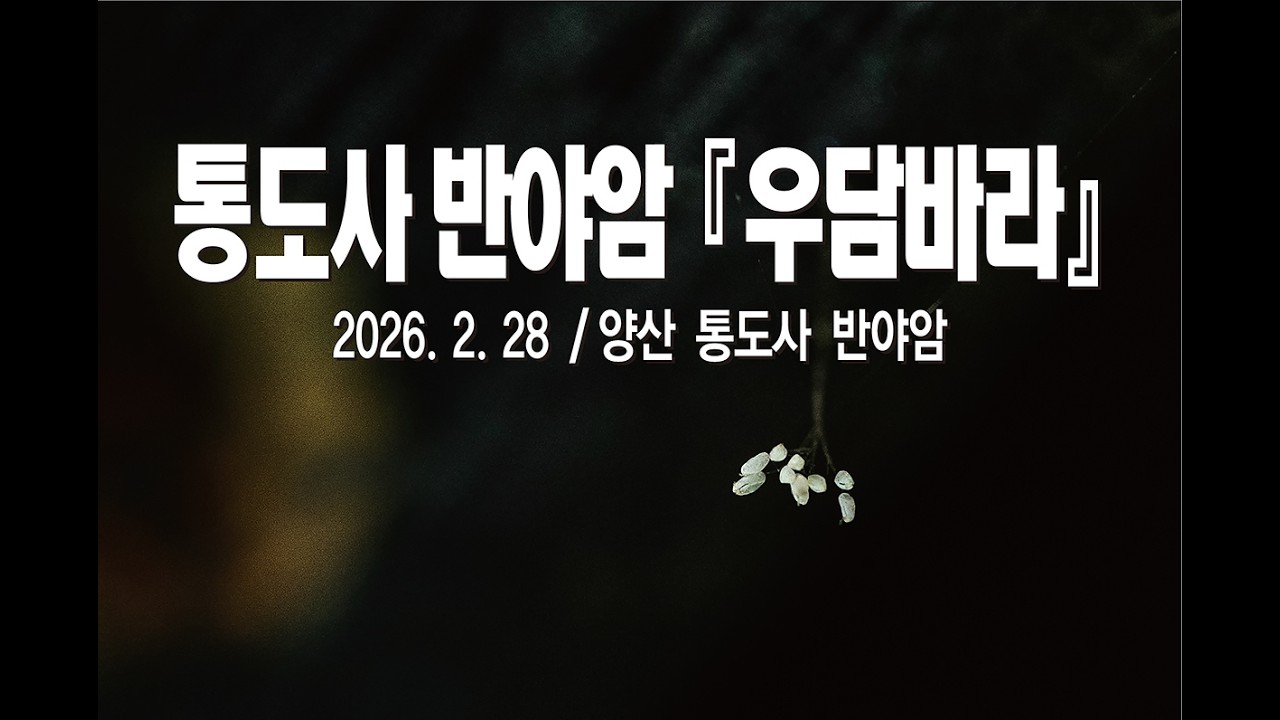 260303 통도사 반야암 우담바라