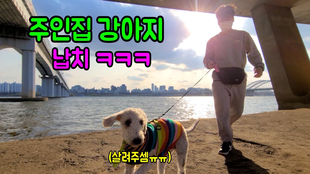주인집 강아지 납치하기!!!