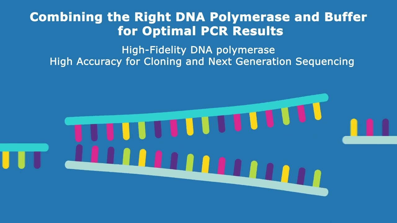 Cooking up the Perfect PCR Reaction