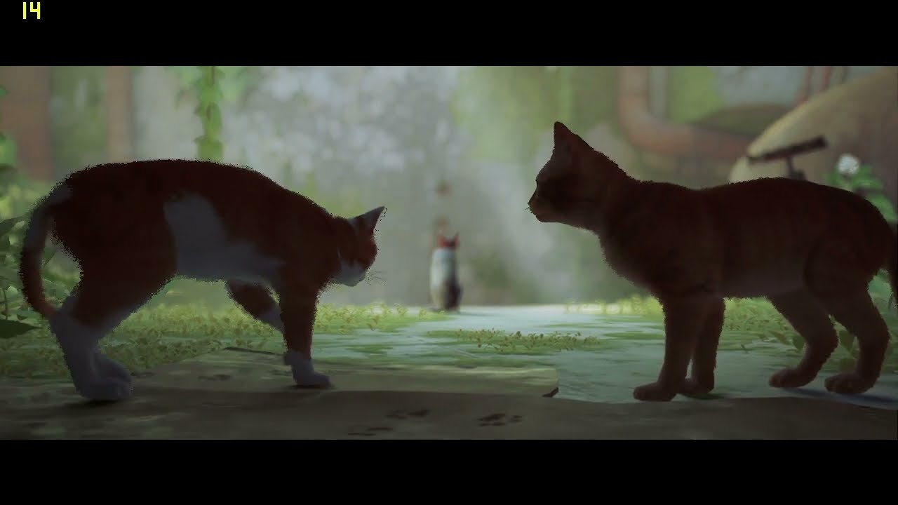 OH! smart cat 😍 - playing STRAY game on low end lappy /i3 11th gen/8gb ram/ intel uhd gfx