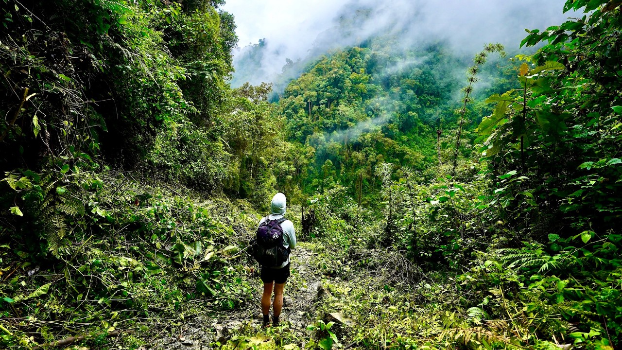 Hiking 40 miles in Los Nevados Colombia