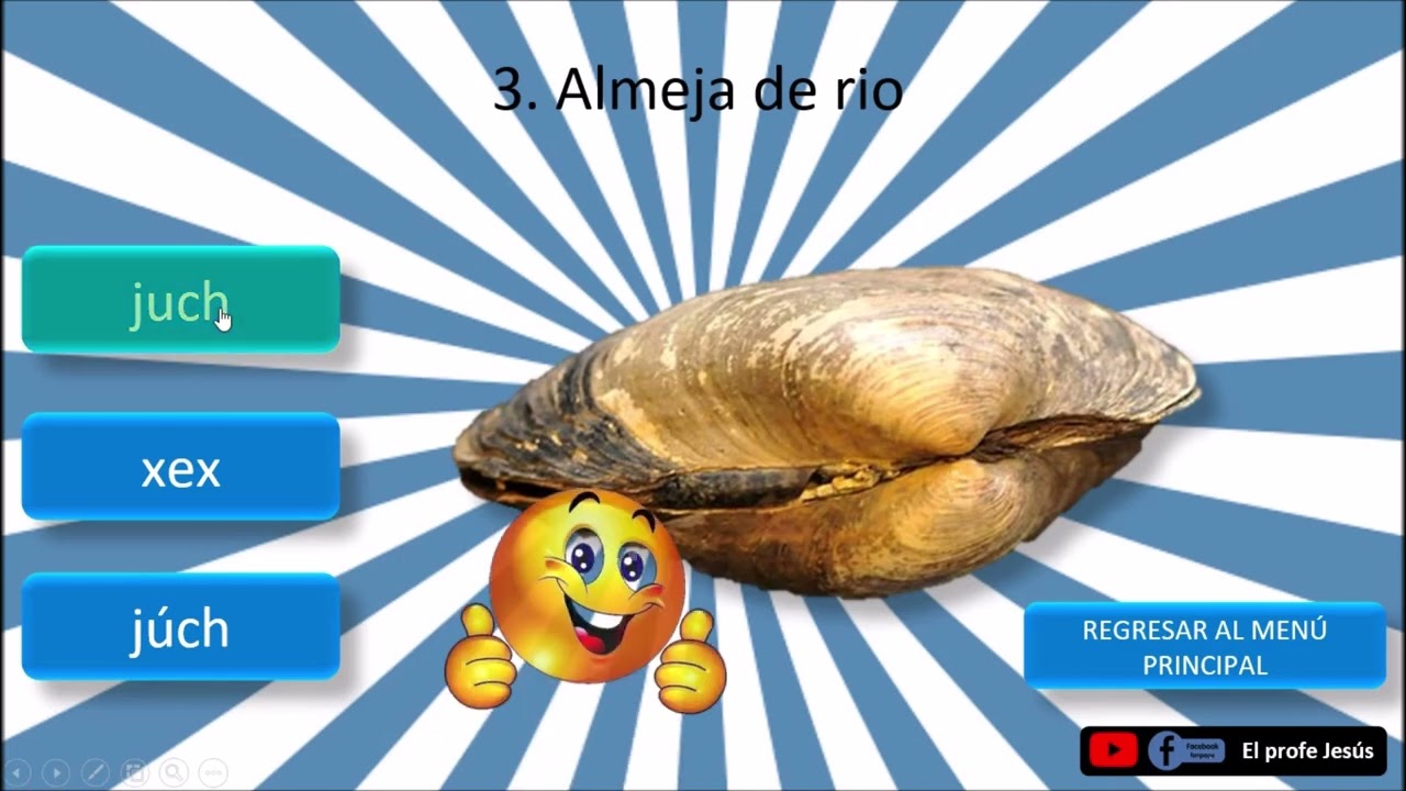 Juego Nombres de Peces, Reptiles, Mariscos en  YOKOT'AN (chontal) REGIÓN ESTE, Tamulté de las Sab.