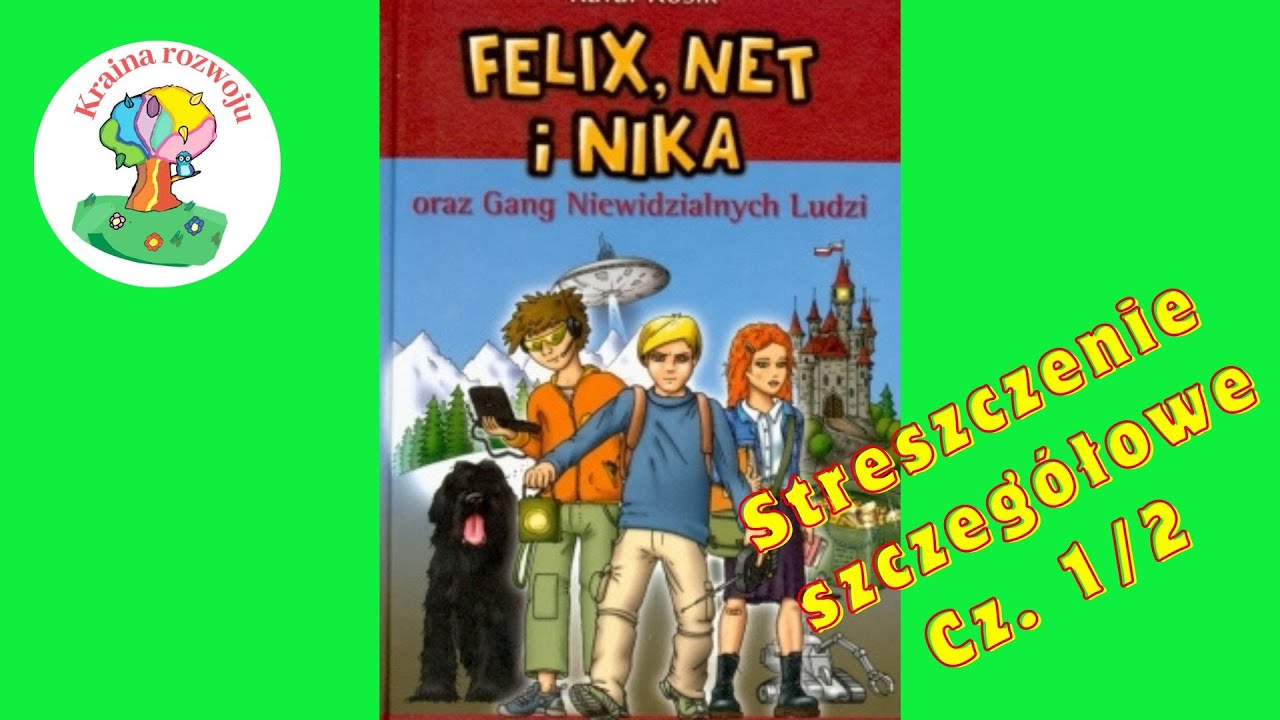 Streszczenie szczegółowe 