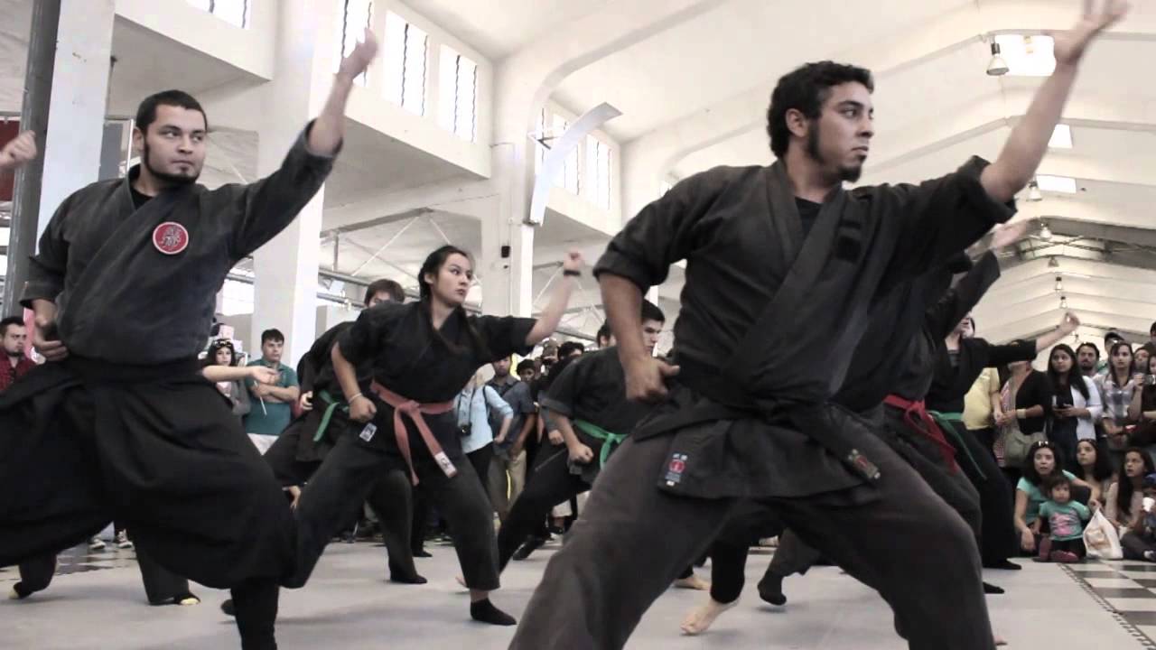 Bujinkan Shutoku Dojo Festival Japón Valparaíso 2016