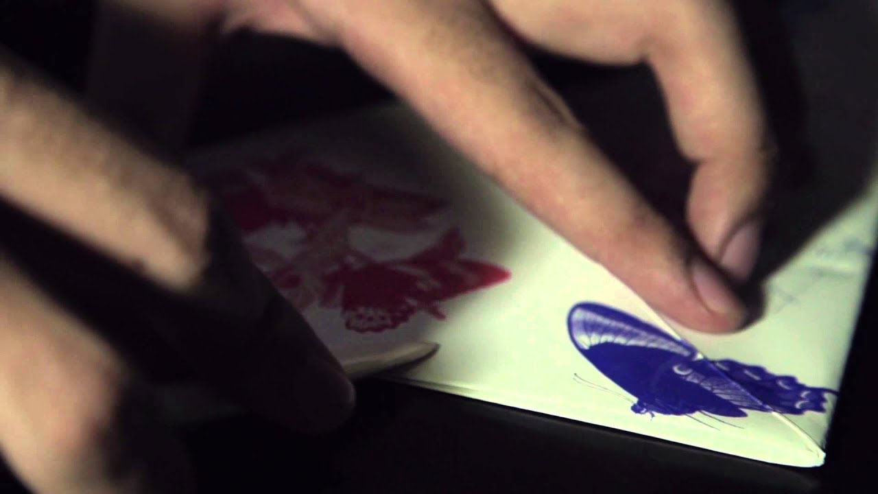 The Butterfly Effect Book Design