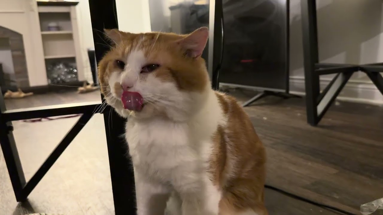 When it’s bedtime