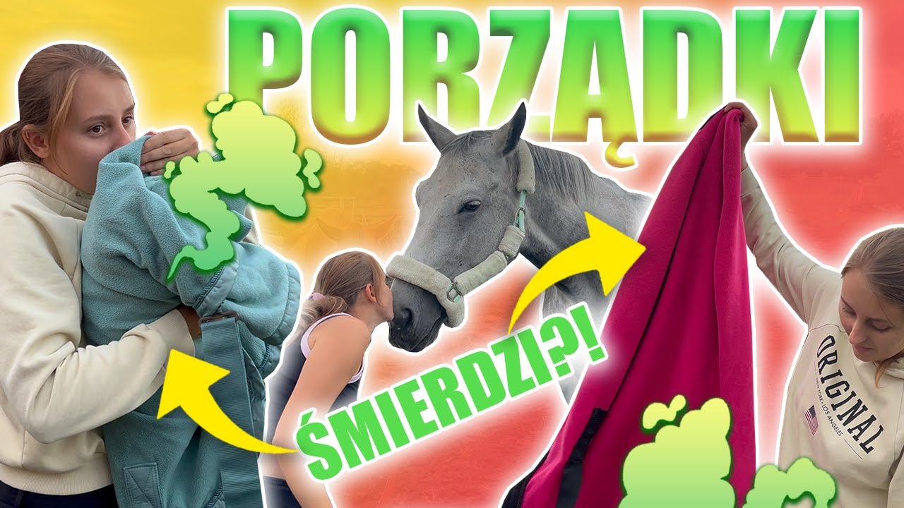 WIELKIE PORZĄDKI - paszarnia i część mojego sprzętu - DAILY#27