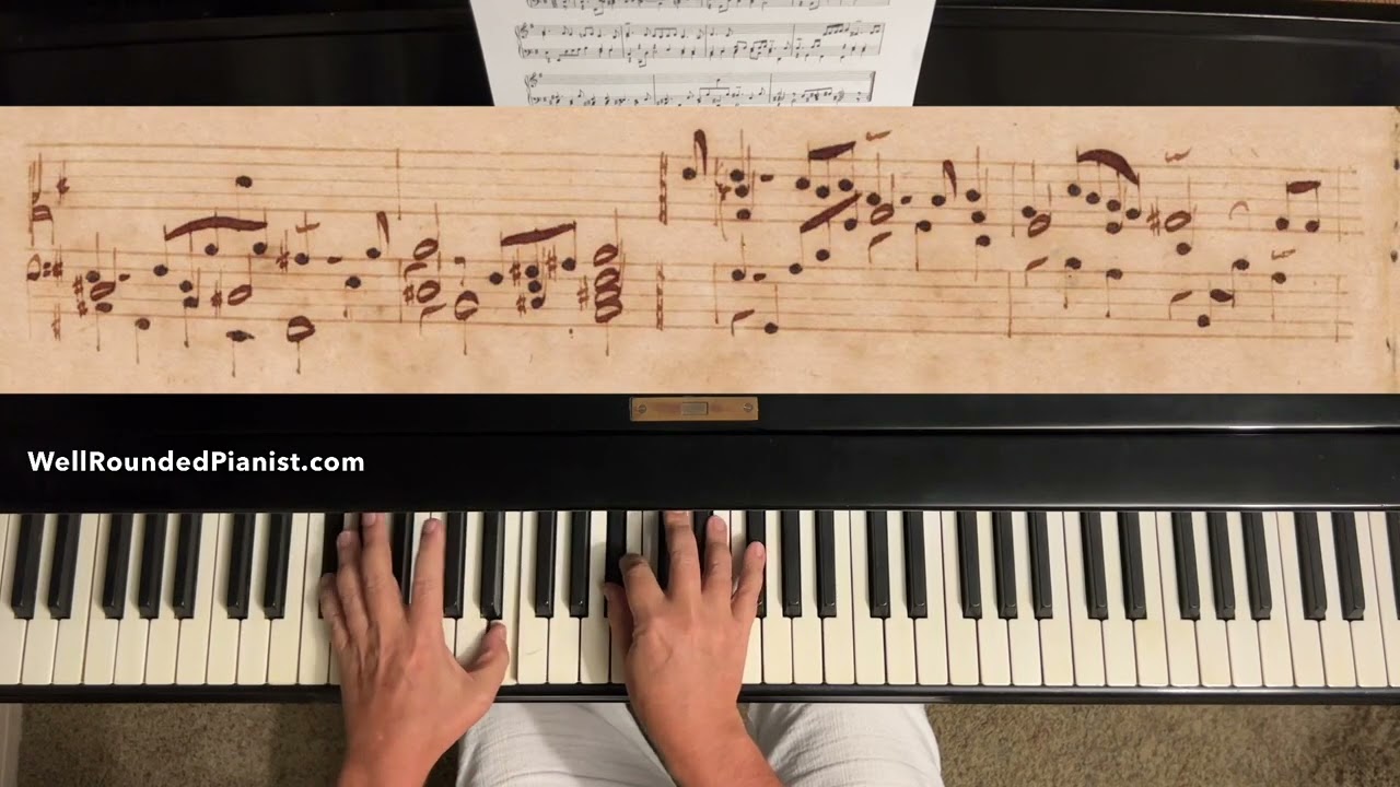 J.S. BACH: Lute Suite No. 1 in E Minor, BWV 996 (complete) played on 1929 Steinway Model L