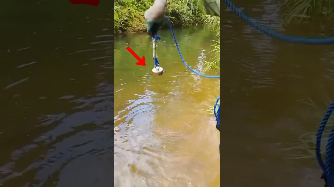 I Can&rsquo;t Believe I Found This Magnet Fishing! 😮#magnetfishingfinds #underwaterfinds#viral #trending